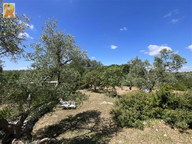 Image No.53-4 Bed Trullo for sale