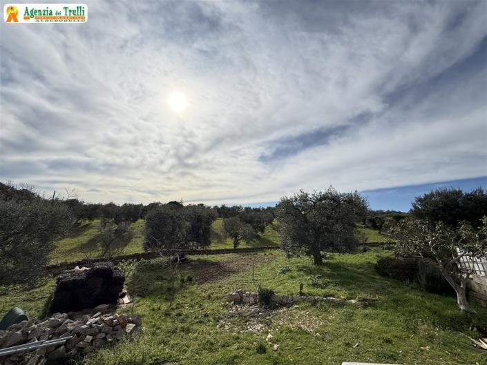 Image No.45-Villa de 3 chambres à vendre à Martina Franca