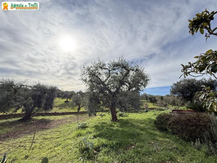 Image No.46-Villa de 3 chambres à vendre à Martina Franca