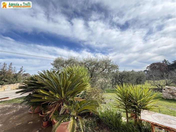 Image No.47-Villa de 3 chambres à vendre à Martina Franca