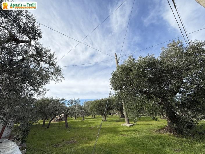 Image No.48-Villa de 3 chambres à vendre à Martina Franca