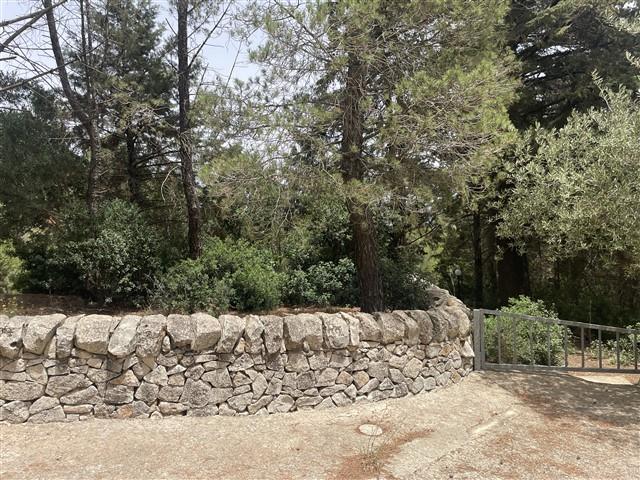 Image No.49-Maison de ville de 3 chambres à vendre à Martina Franca