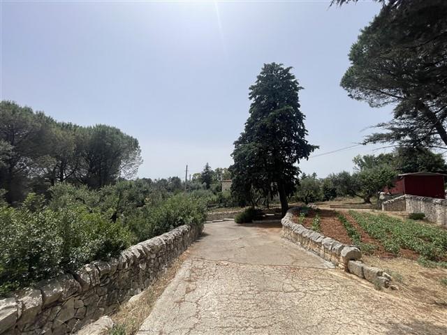 Image No.51-Maison de ville de 3 chambres à vendre à Martina Franca