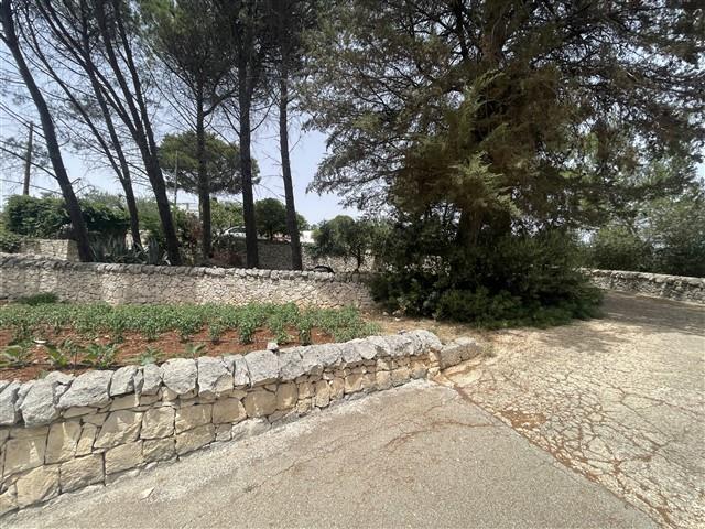 Image No.52-Maison de ville de 3 chambres à vendre à Martina Franca