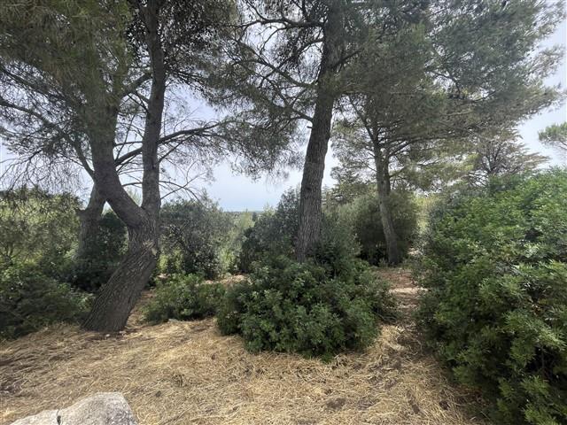 Image No.57-Maison de ville de 3 chambres à vendre à Martina Franca