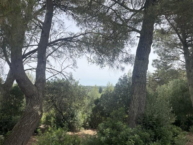 Image No.58-Maison de ville de 3 chambres à vendre à Martina Franca