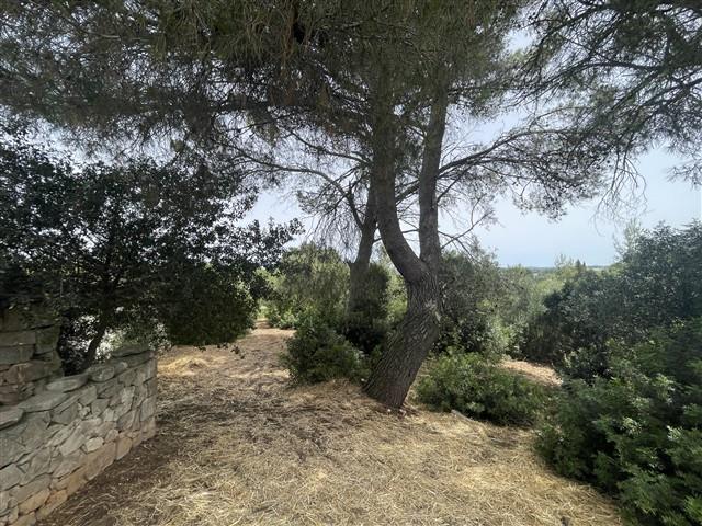 Image No.59-Maison de ville de 3 chambres à vendre à Martina Franca