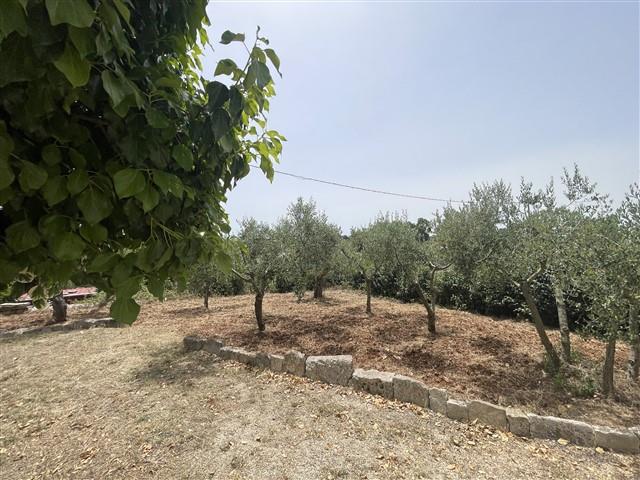 Image No.60-Maison de ville de 3 chambres à vendre à Martina Franca