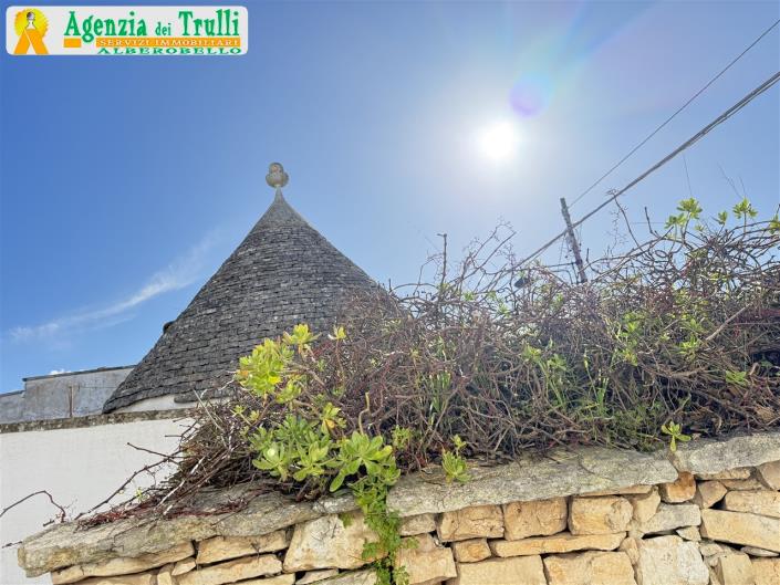 Image No.30-Trullo de 2 chambres à vendre à Alberobello