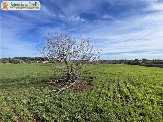 Image No.39-1 Bed Country House for sale