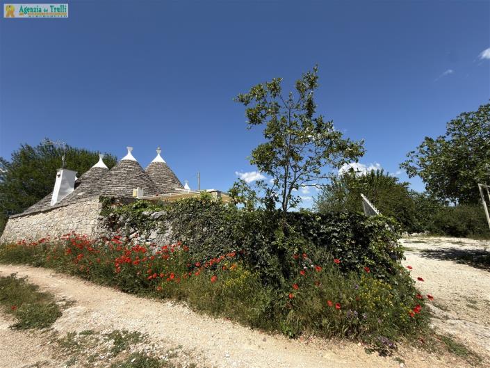 Image No.12-Trullo de 2 chambres à vendre à Martina Franca