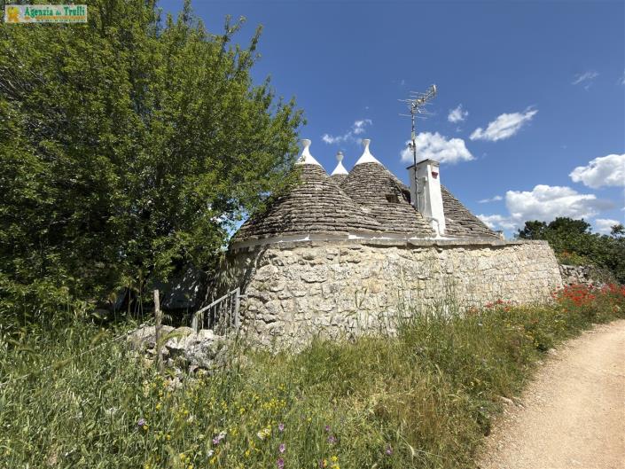 Image No.13-Trullo de 2 chambres à vendre à Martina Franca
