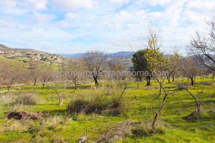 Image No.2-Land for sale