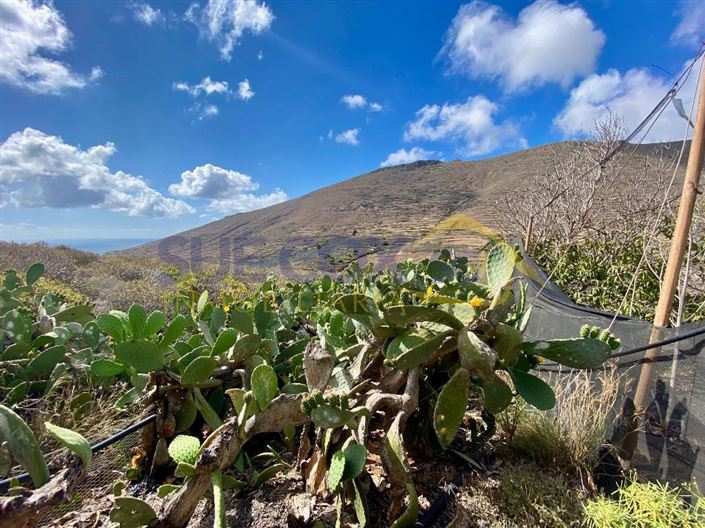 Image No.10-Finca de 2 chambres à vendre à Haria