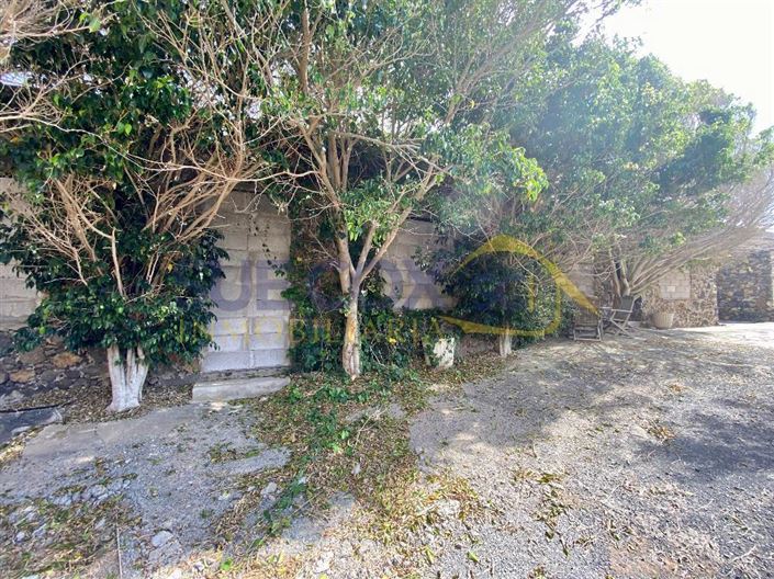 Image No.11-Finca de 2 chambres à vendre à Haria