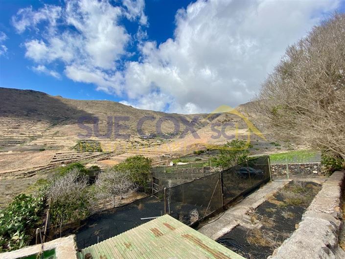 Image No.34-Finca de 2 chambres à vendre à Haria