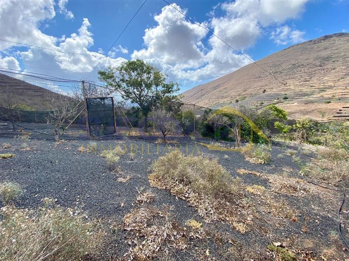 Image No.36-Finca de 2 chambres à vendre à Haria