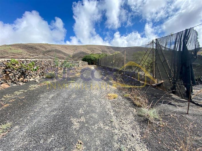 Image No.37-Finca de 2 chambres à vendre à Haria