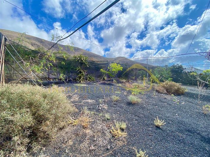 Image No.38-Finca de 2 chambres à vendre à Haria