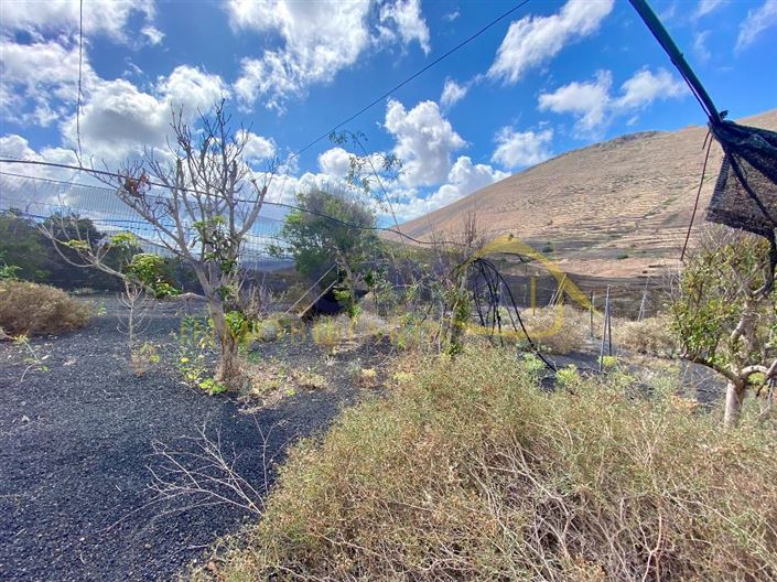 Image No.39-Finca de 2 chambres à vendre à Haria
