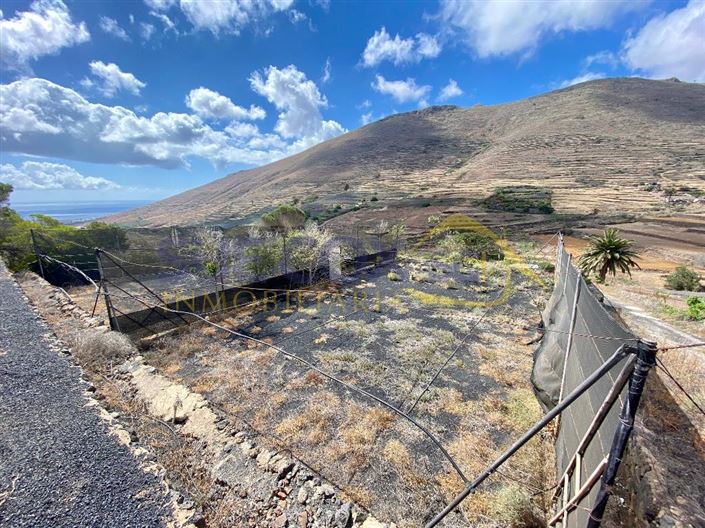 Image No.40-Finca de 2 chambres à vendre à Haria