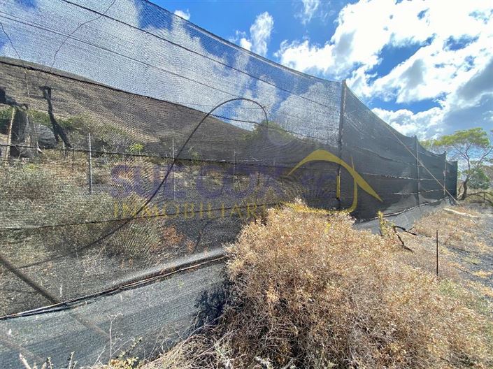 Image No.41-Finca de 2 chambres à vendre à Haria