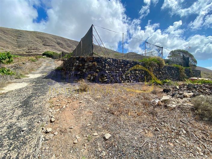 Image No.42-Finca de 2 chambres à vendre à Haria