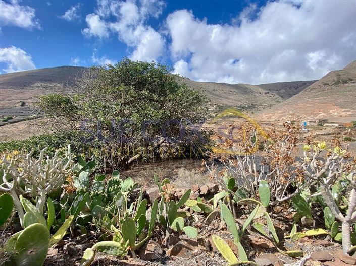Image No.44-Finca de 2 chambres à vendre à Haria