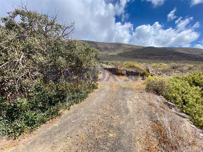 Image No.47-Finca de 2 chambres à vendre à Haria