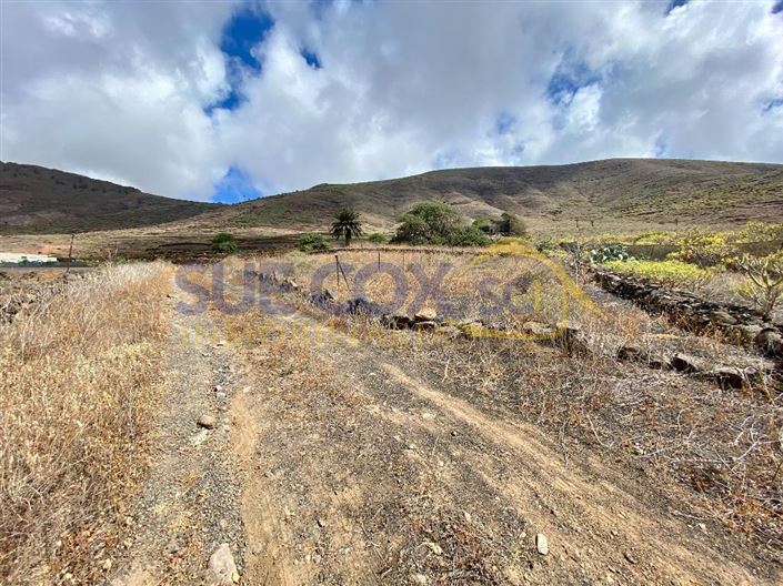 Image No.49-Finca de 2 chambres à vendre à Haria