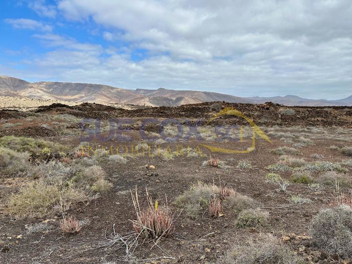 Image No.6-Terre à vendre à Lanzarote