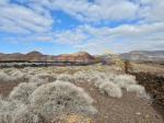 Image No.8-Terre à vendre à Lanzarote