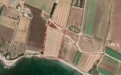 Field in Timi, Paphos