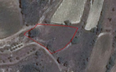 Terre à vendre à Paphos