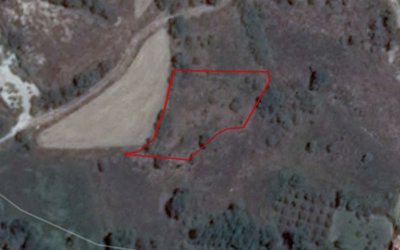 Terre à vendre à Paphos