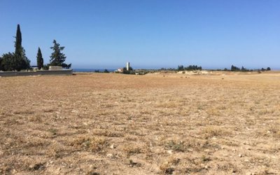 Field in Timi, Paphos