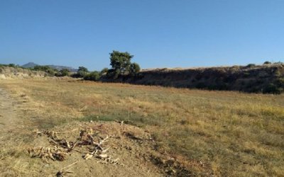 Field in Argaka, Paphos