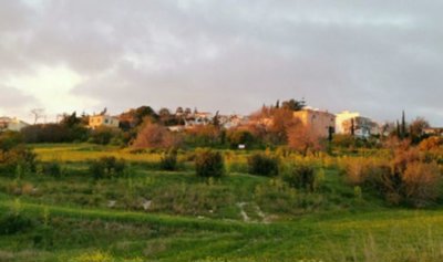 Field in Tremithousa, Paphos