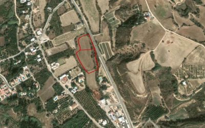 Two Fields in Goudi, Paphos