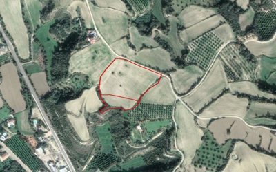 Two Fields in Goudi, Paphos