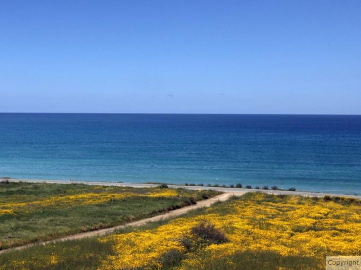 Image No.2-3 Bed Villa for sale