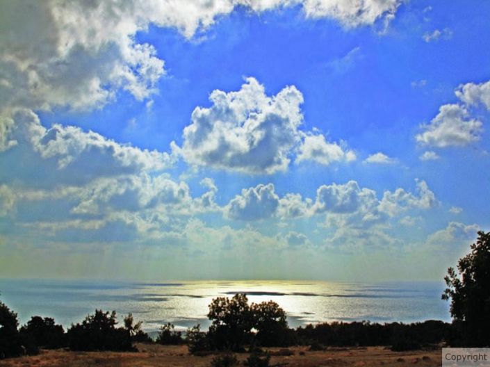 Image No.5-Villa de 3 chambres à vendre à Paphos