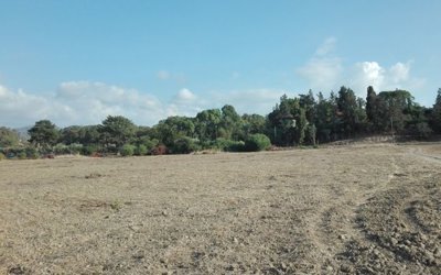 Plot in Polis Chrysochous, Paphos