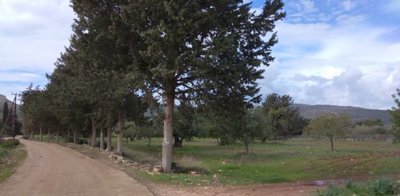 Detached Villa For Sale  in  Neo Chorio