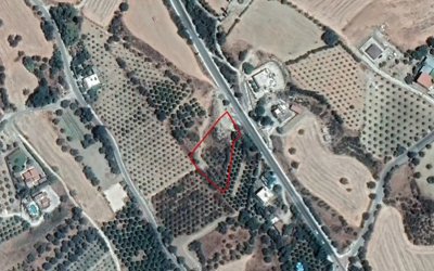 Field in Goudi, Paphos