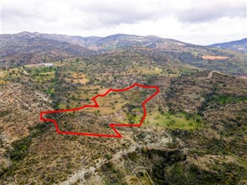 Field in Pegeia, Paphos