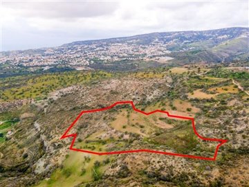 Field in Pegeia, Paphos