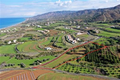 Field in Argaka, Paphos