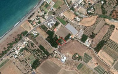 Field in Argaka, Paphos