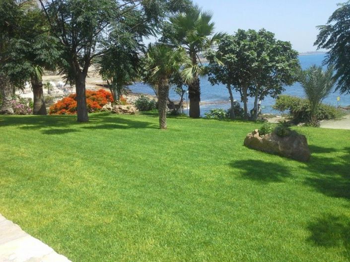 Image No.3-6 Bed Villa for sale